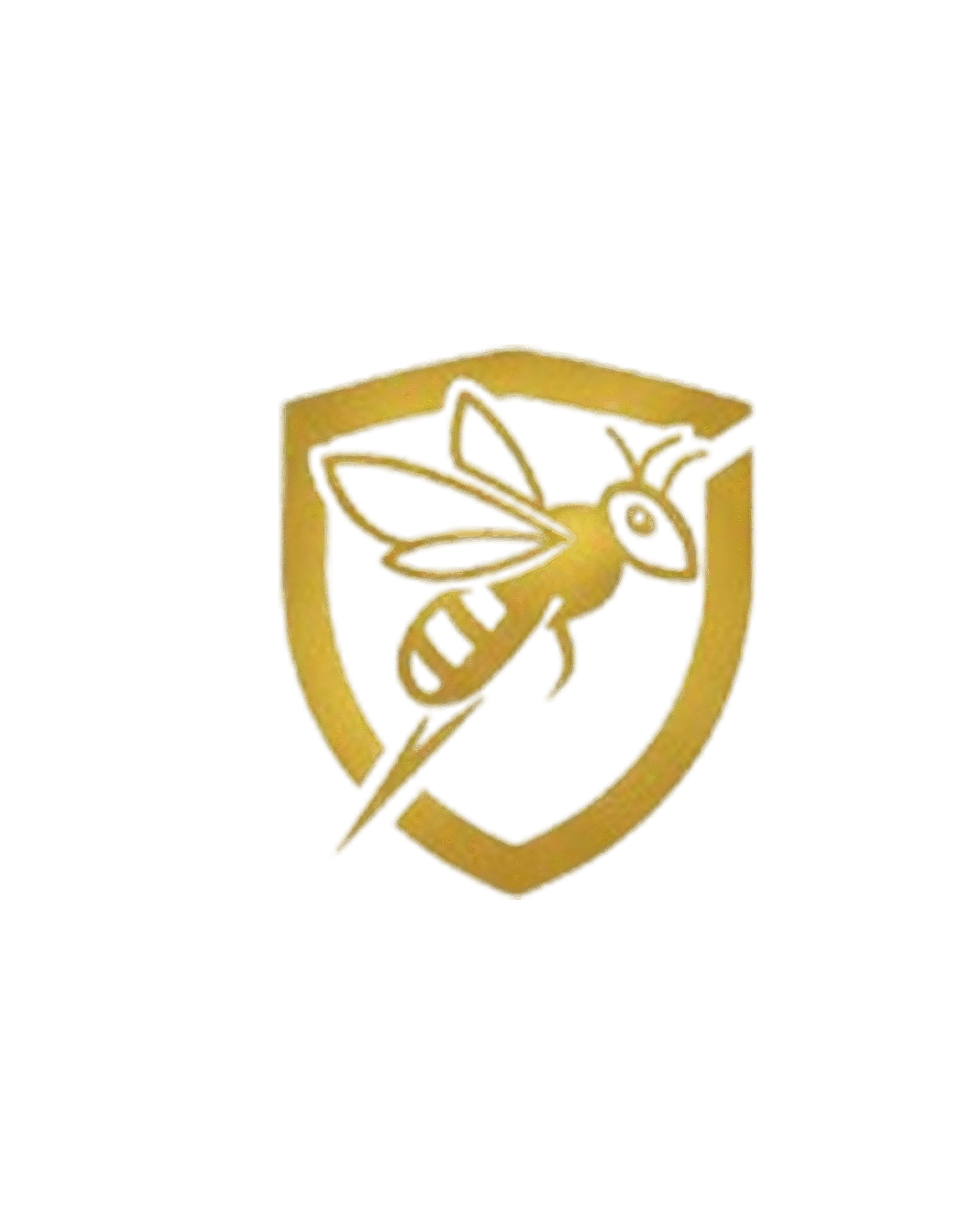EgeInfoSec